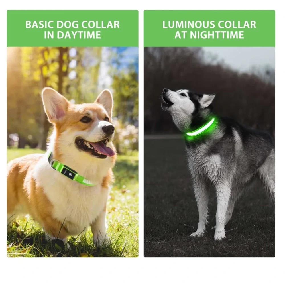 PcEoTllar Light up Dog Collar LED Rechargeable Waterproof Medium nwt - Picture 2 of 7